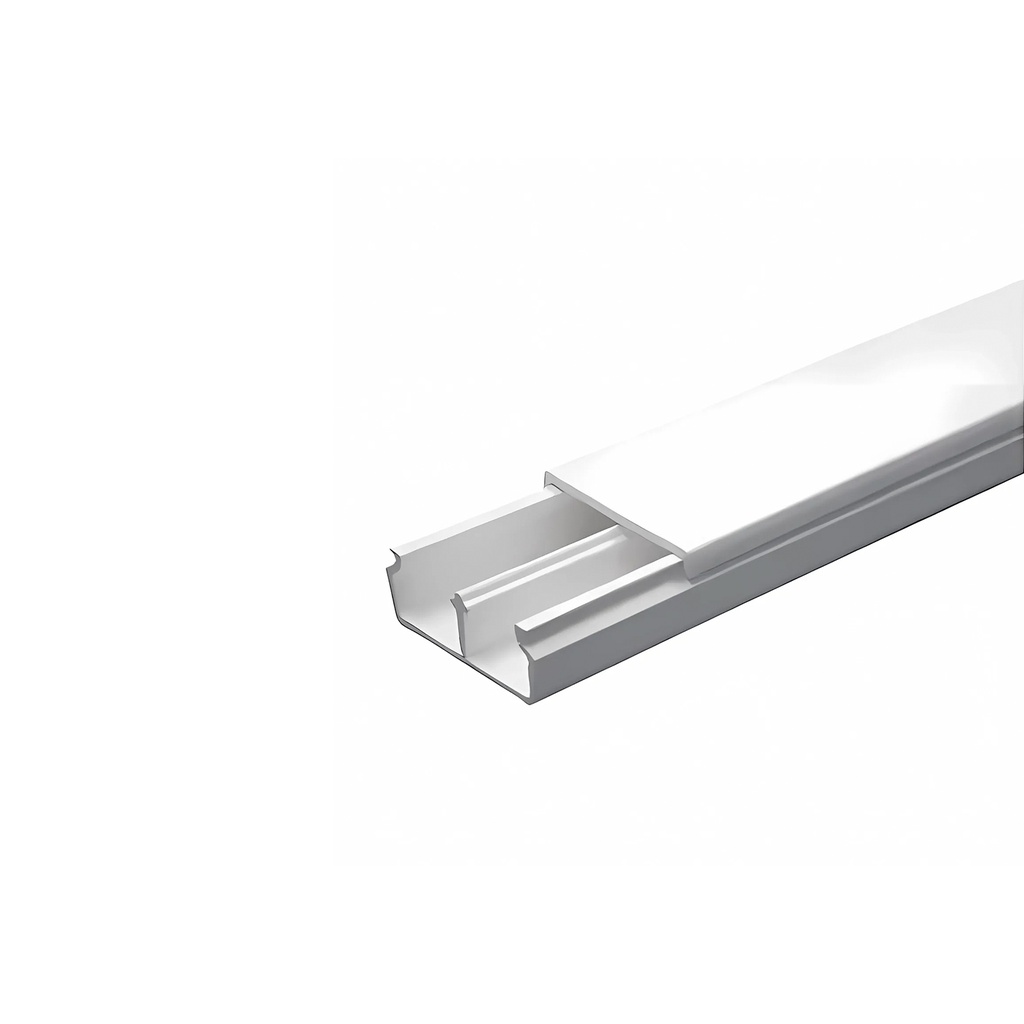 canaleta-plastica-50x20mmx2mts-dlps-preperforada-marca-legrand-giganet